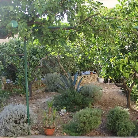 Letica Apartment Makarska