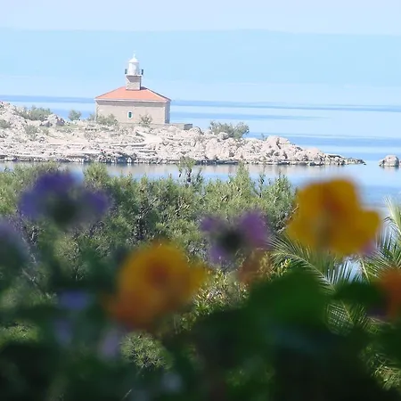 Letica Μακάρσκα