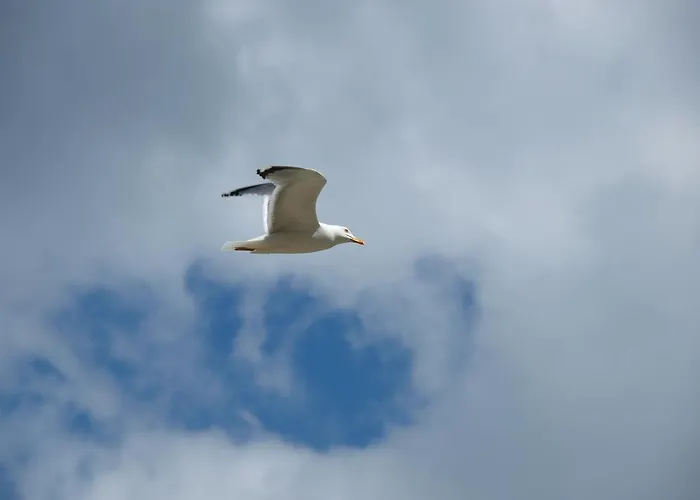 Lägenhet Letica Makarska